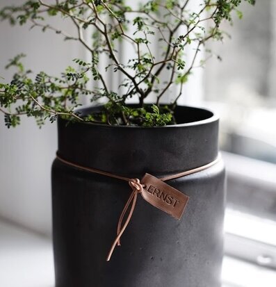 Bild av modern kruka med läderband i ljus miljö