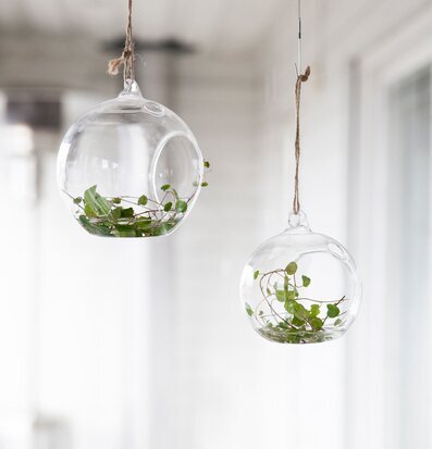 Bild av elegant inredningsdetalj med glasklot och grönska