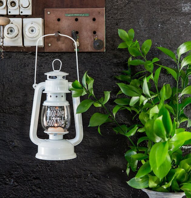 Bild av vacker inredning med vit lanterna och grön växt