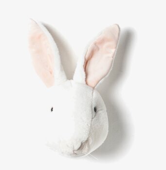 Bild av charmigt och detaljrikt kaninhuvud för hemmet