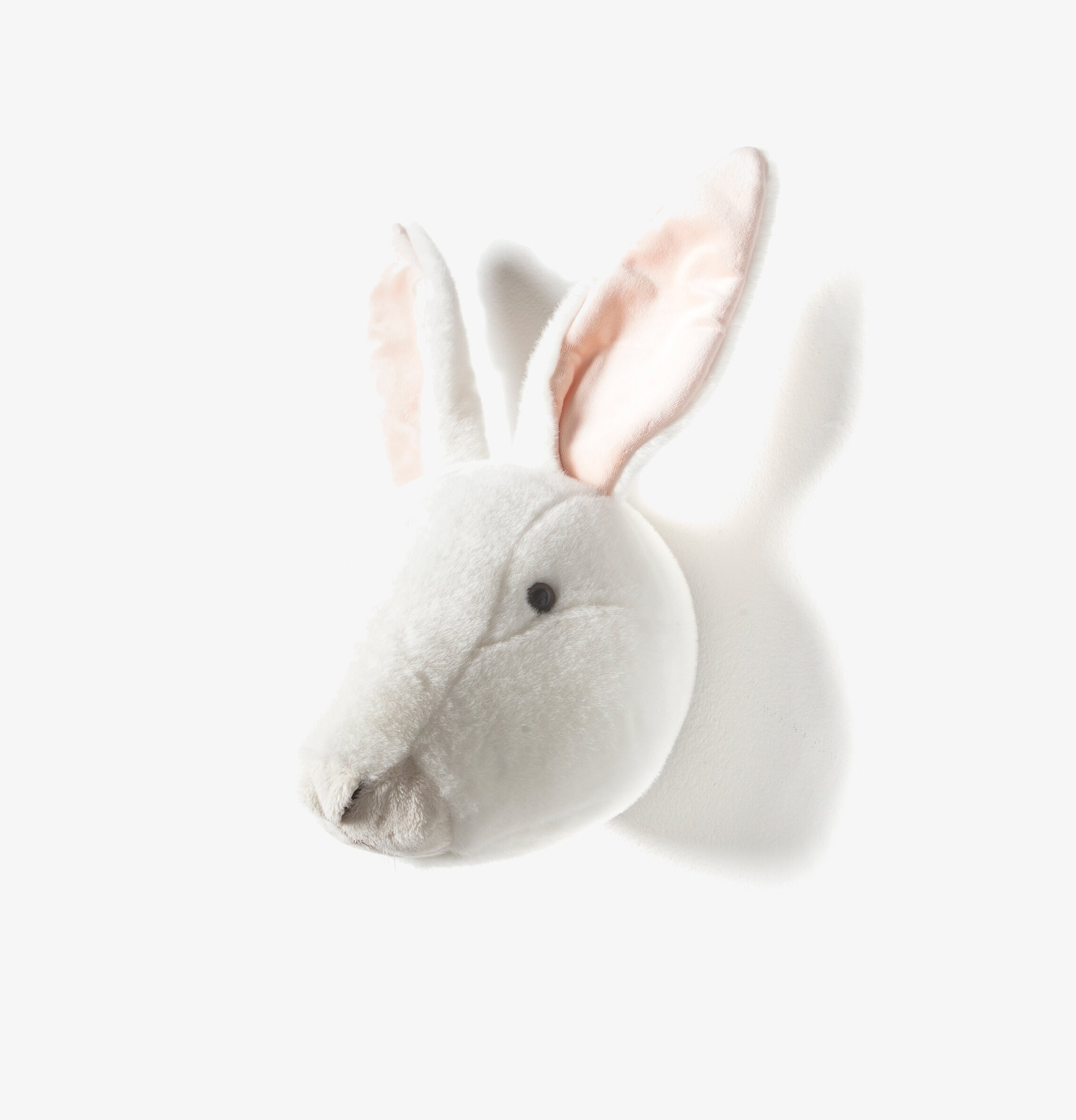 Djurhuvud Kanin från Brigbys, en realistisk väggdekoration