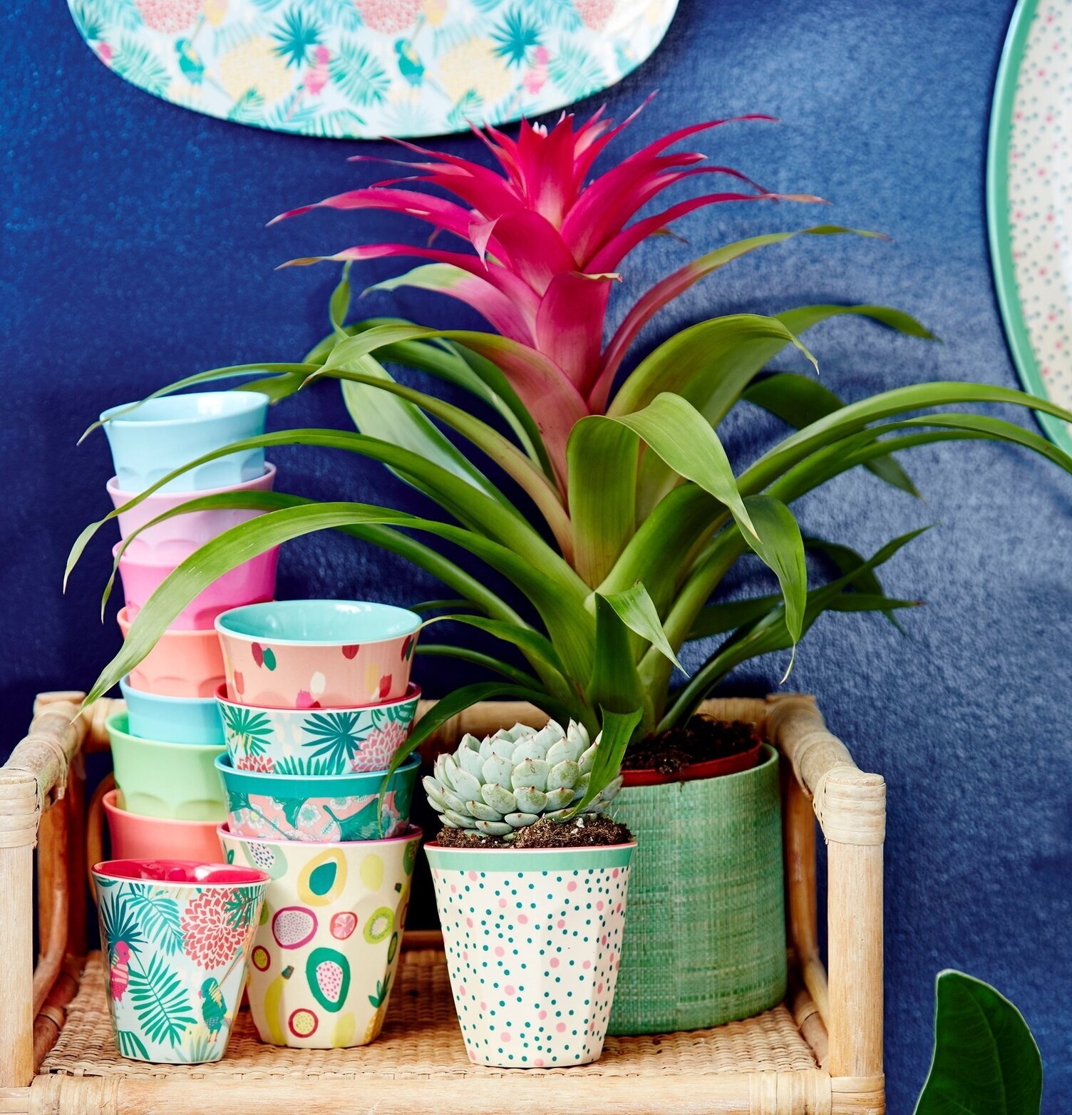 Mugg Tutti Frutti Print från Rice på rustik träyta med växt