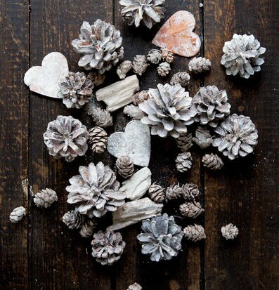 Bild av konstnärligt stilleben med naturdekorationer