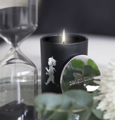 Bild av stilfullt arrangemang med doftljus och växt