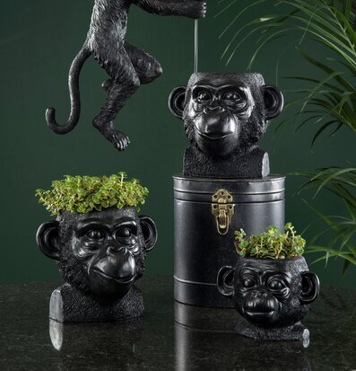 Bild av stilfulla svarta krukor och unik inredning