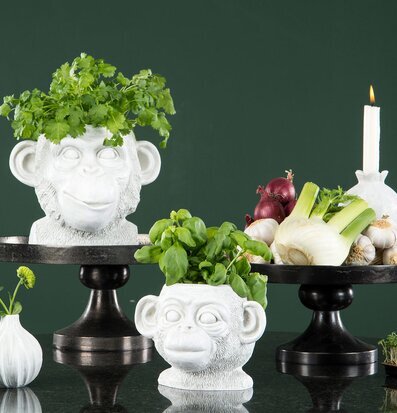 Bild av stilfulla krukor och grönska i elegant arrangemang