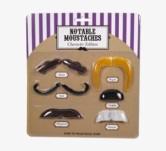 Bild av lösmustascher: sex stilar för kreativ förvandling