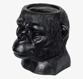 Bild av unik och iögonfallande gorillakruka i svart
