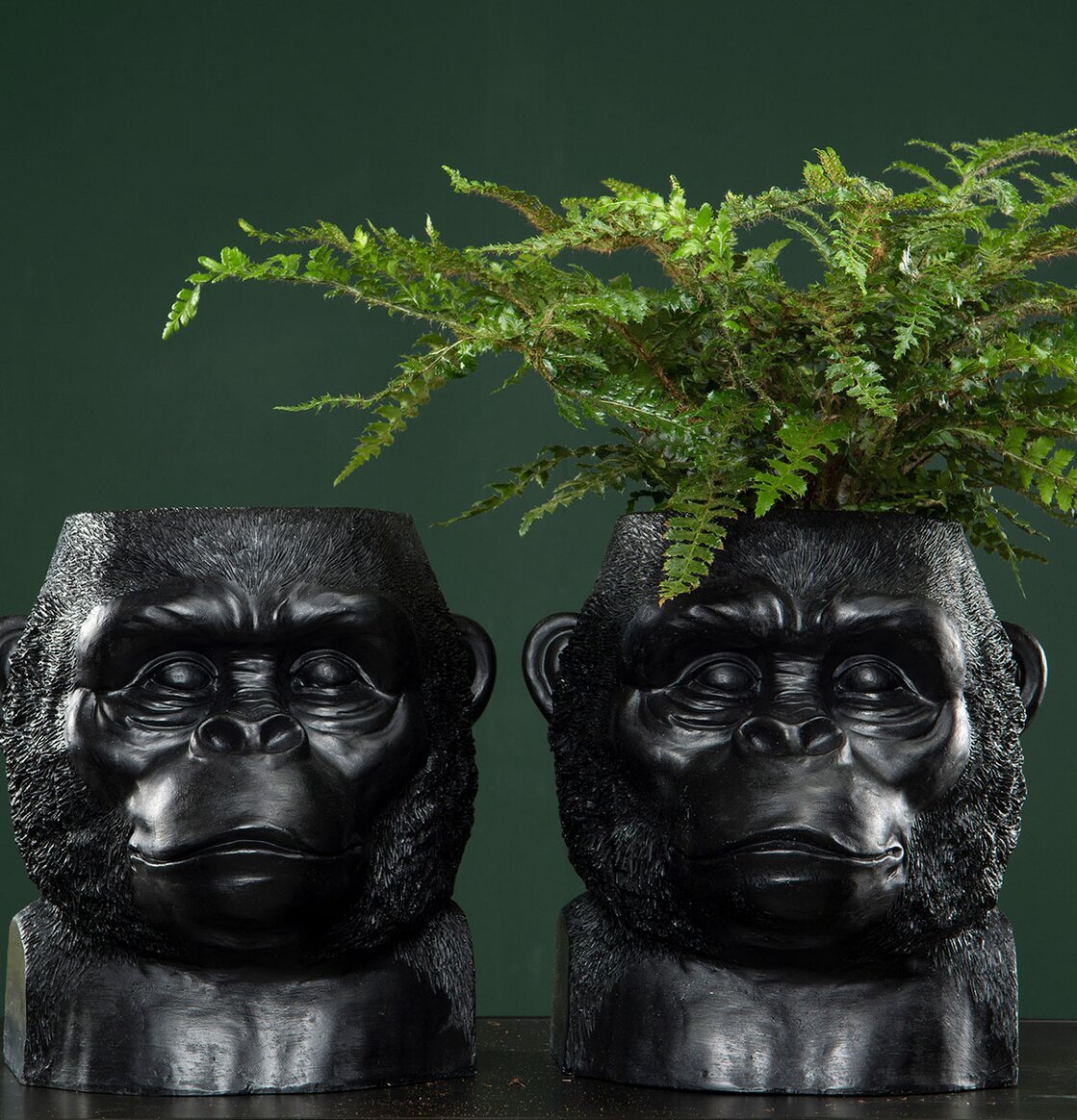 Kruka Gorilla Svart från A Lot Decoration med grön växt