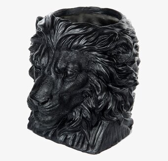 Bild av elegant lejonkruka med imponerande detaljer