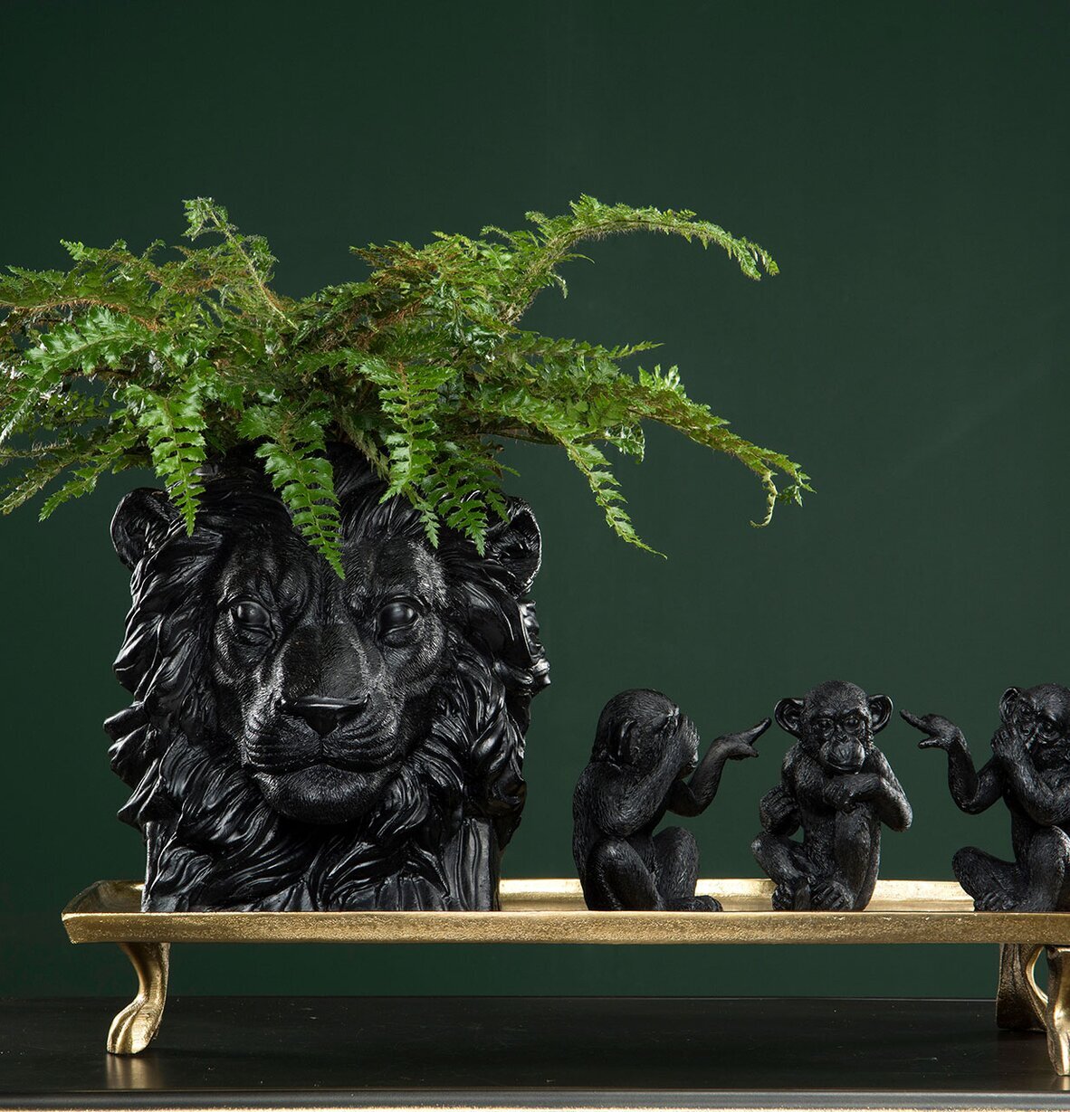 Kruka Lejon Svart från A Lot Decoration med grön växt