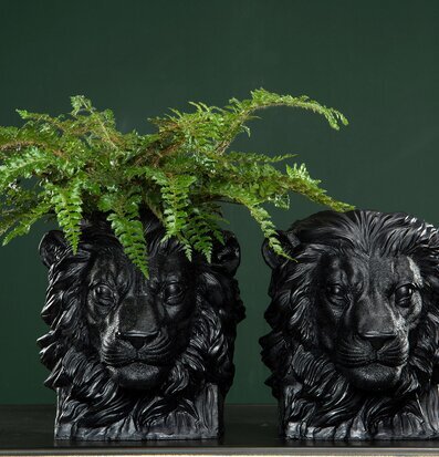 Foto av svarta lejonhuvudkrukor med ormbunksblad