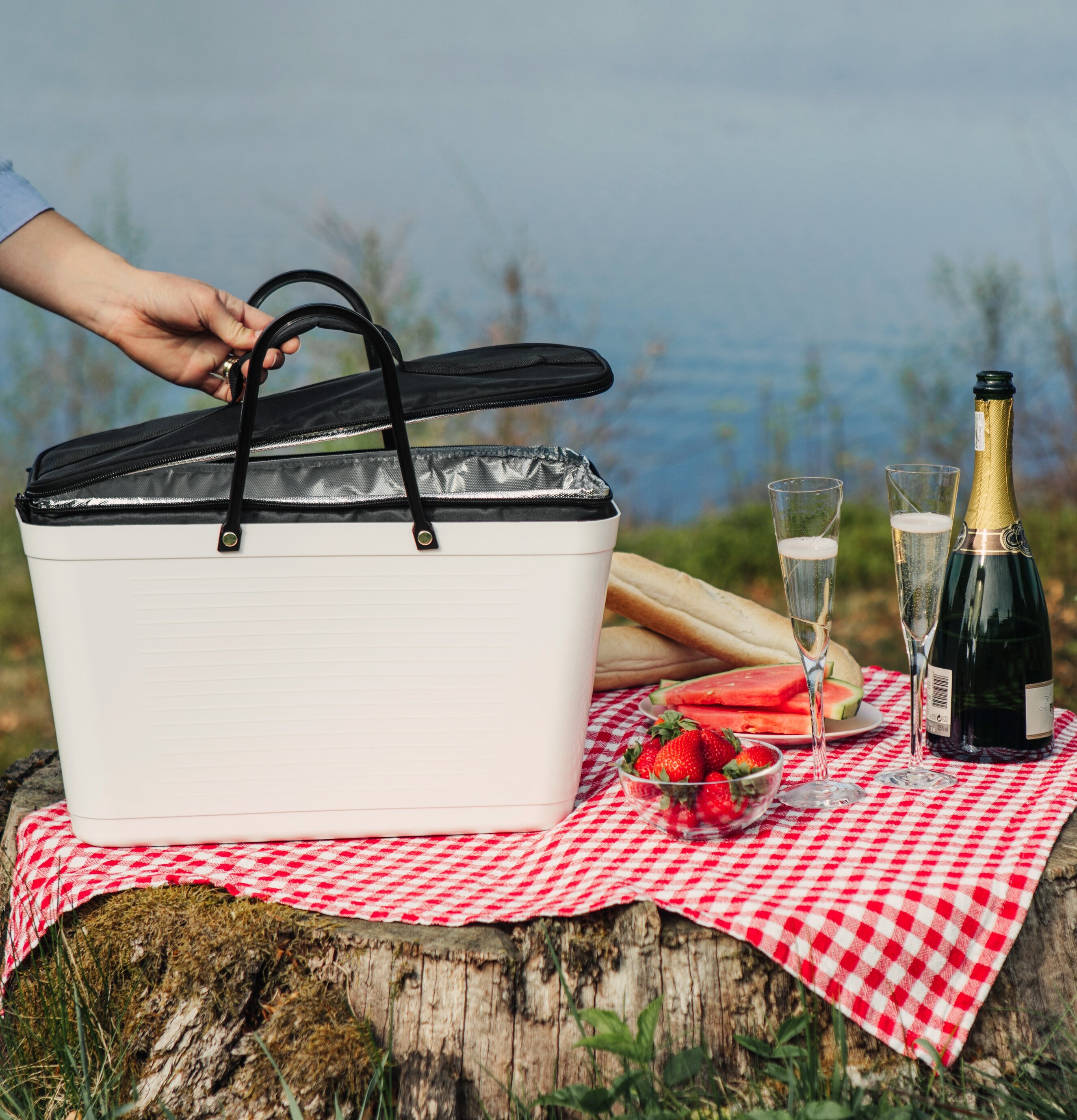 Hinza Kylväska Stor Svart från Hinza på en trästubbe