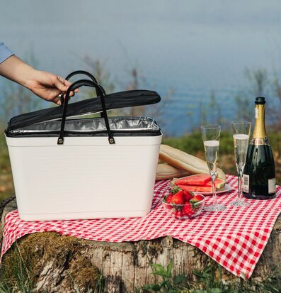 Foto av idyllisk picknick vid vattnet med kylväska