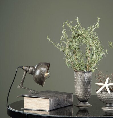 Bild av stämningsfull inredning med natur och industri