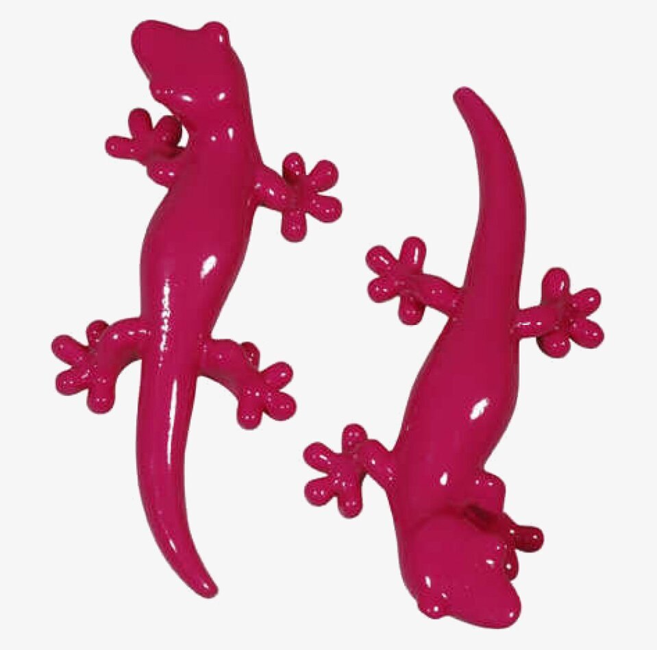 Bild av dekorativa rosa gecko-knoppar för inredning