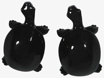 Foto av eleganta svarta sköldpaddsknoppar för hemmet