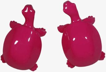 Foto av rosa sköldpaddsknoppar med modern design