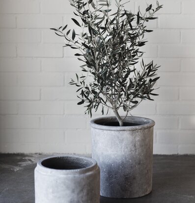 Bild av stilrena terrakottakrukor med olivväxt