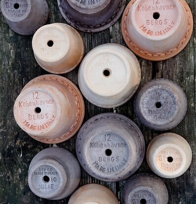 Foto av blomkrukor på rustik träyta med mönster