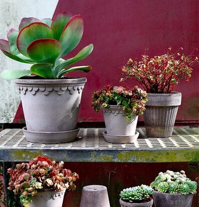 Bild av harmonisk uppställning av blomkrukor i grått