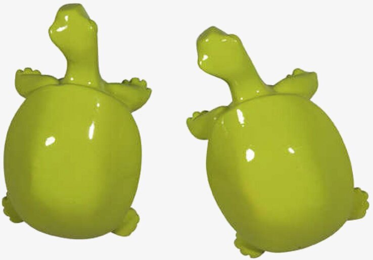 Foto av limegröna sköldpaddsknoppar med lekfull design