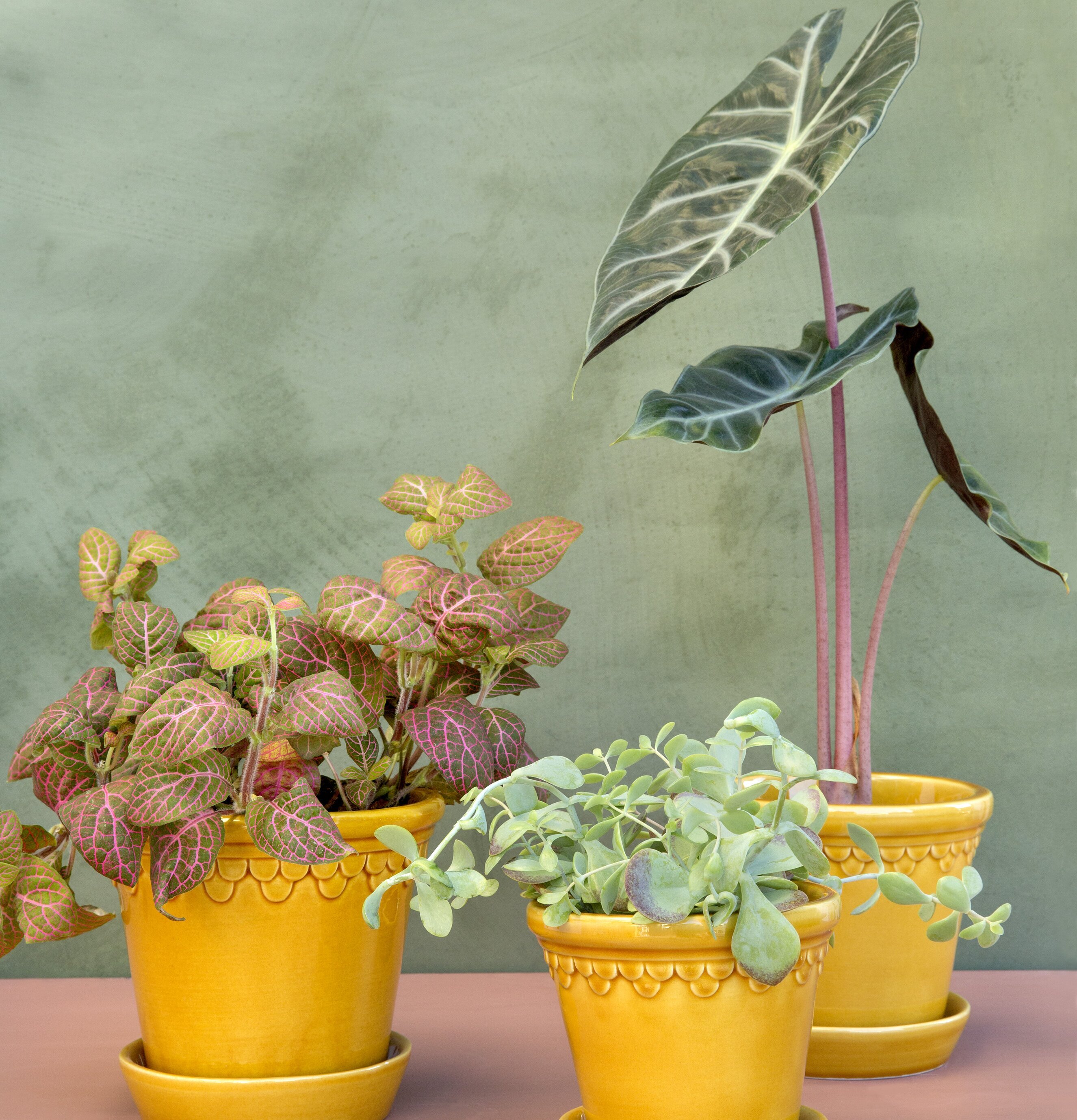 Bergs Potter Copenhagen Yellow Amber blomkrukor i keramik