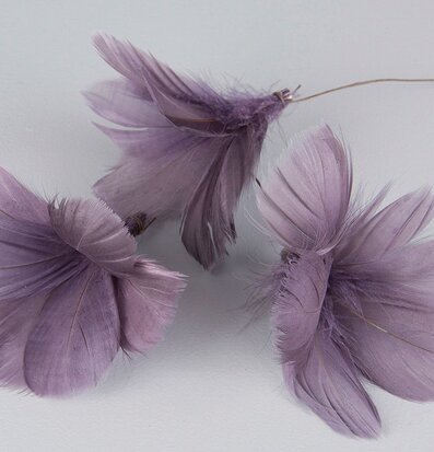 Bild av lila fjädrar med elegant och lugn estetik