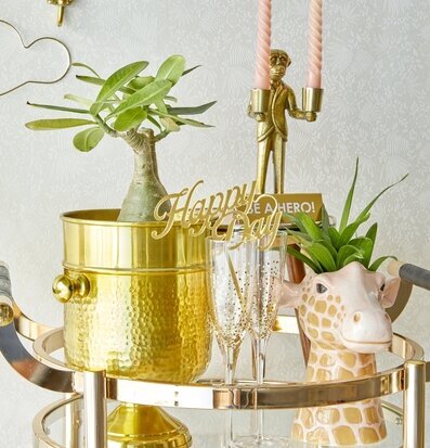 Bild av elegant inredning med exotiska detaljer