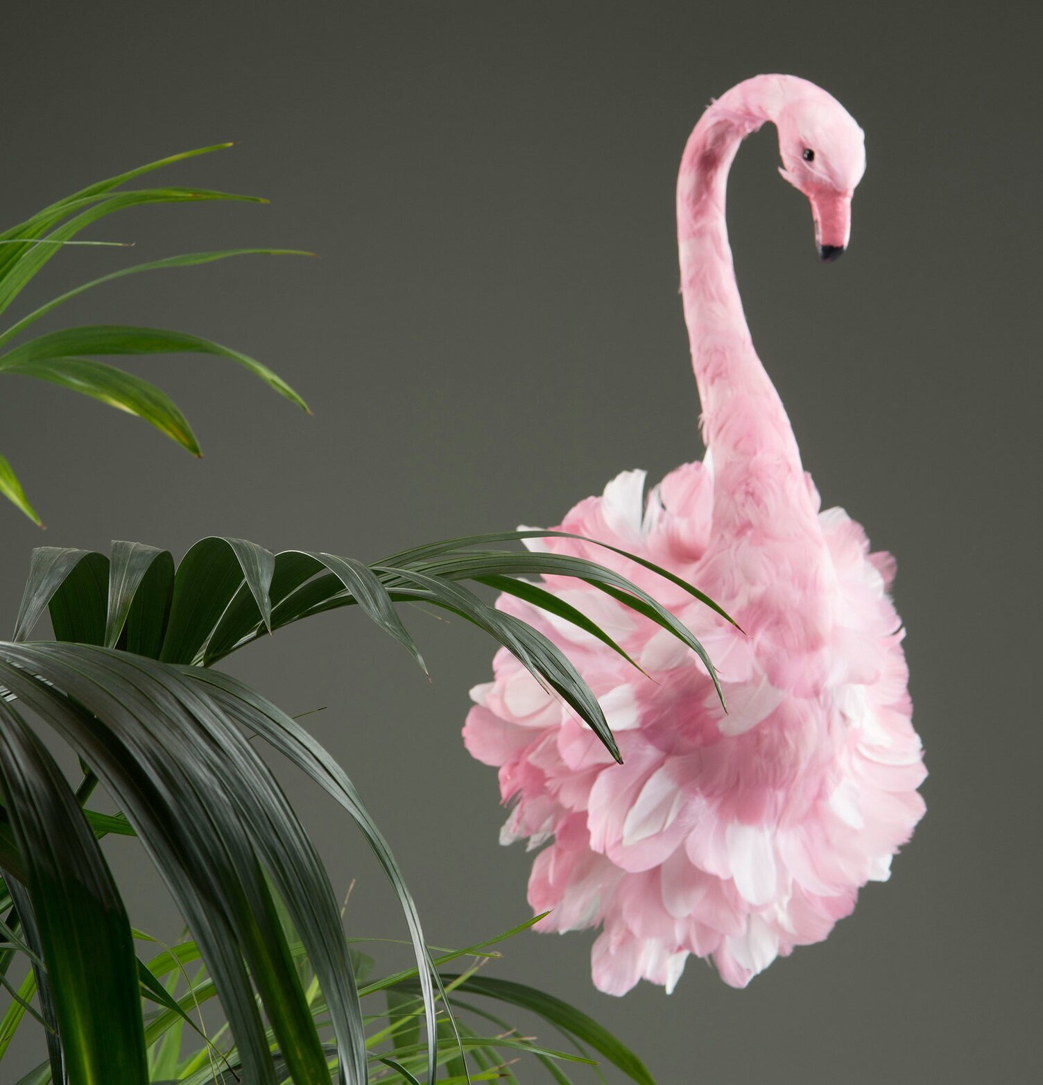 Bild av harmonisk installation med flamingo och växt