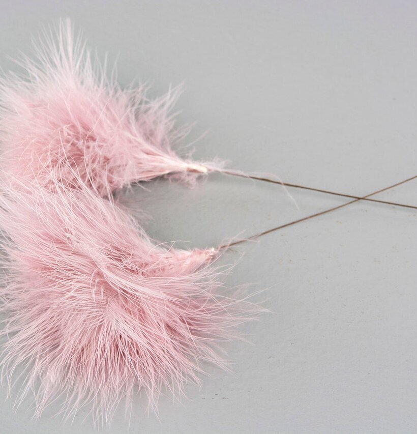 Bild av gammalrosa fjäderdekoration på ljusgrå yta