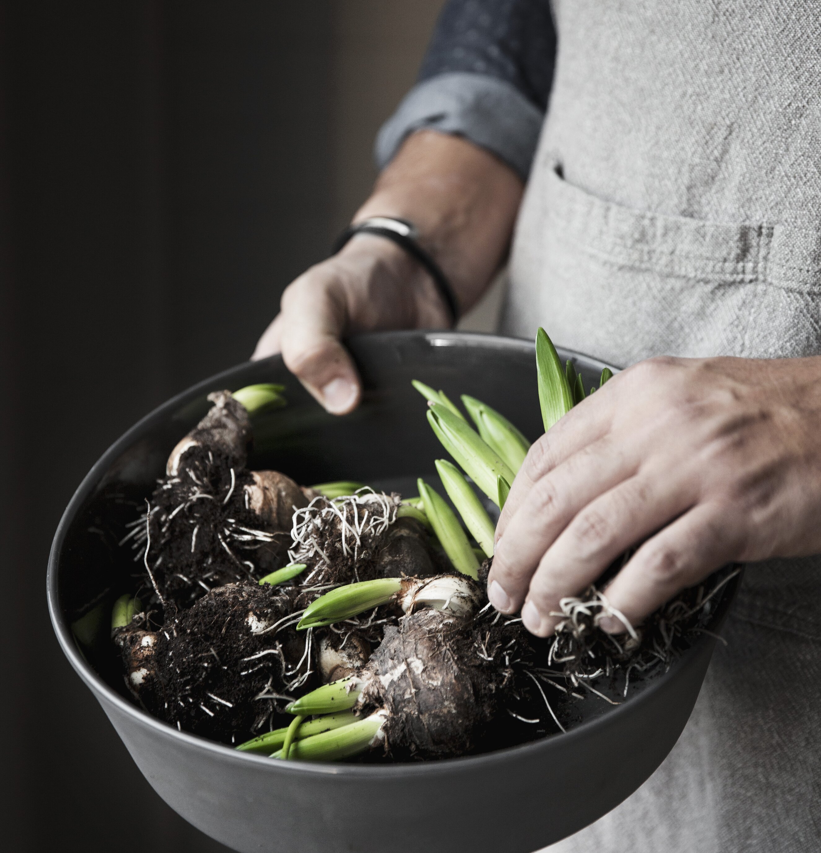 Uppläggningsfat/Skål Vit från Ernst i en persons händer