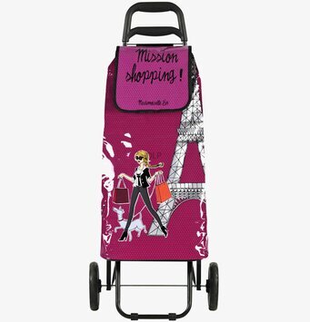 Bild av stilfull shoppingvagn med parisisk känsla