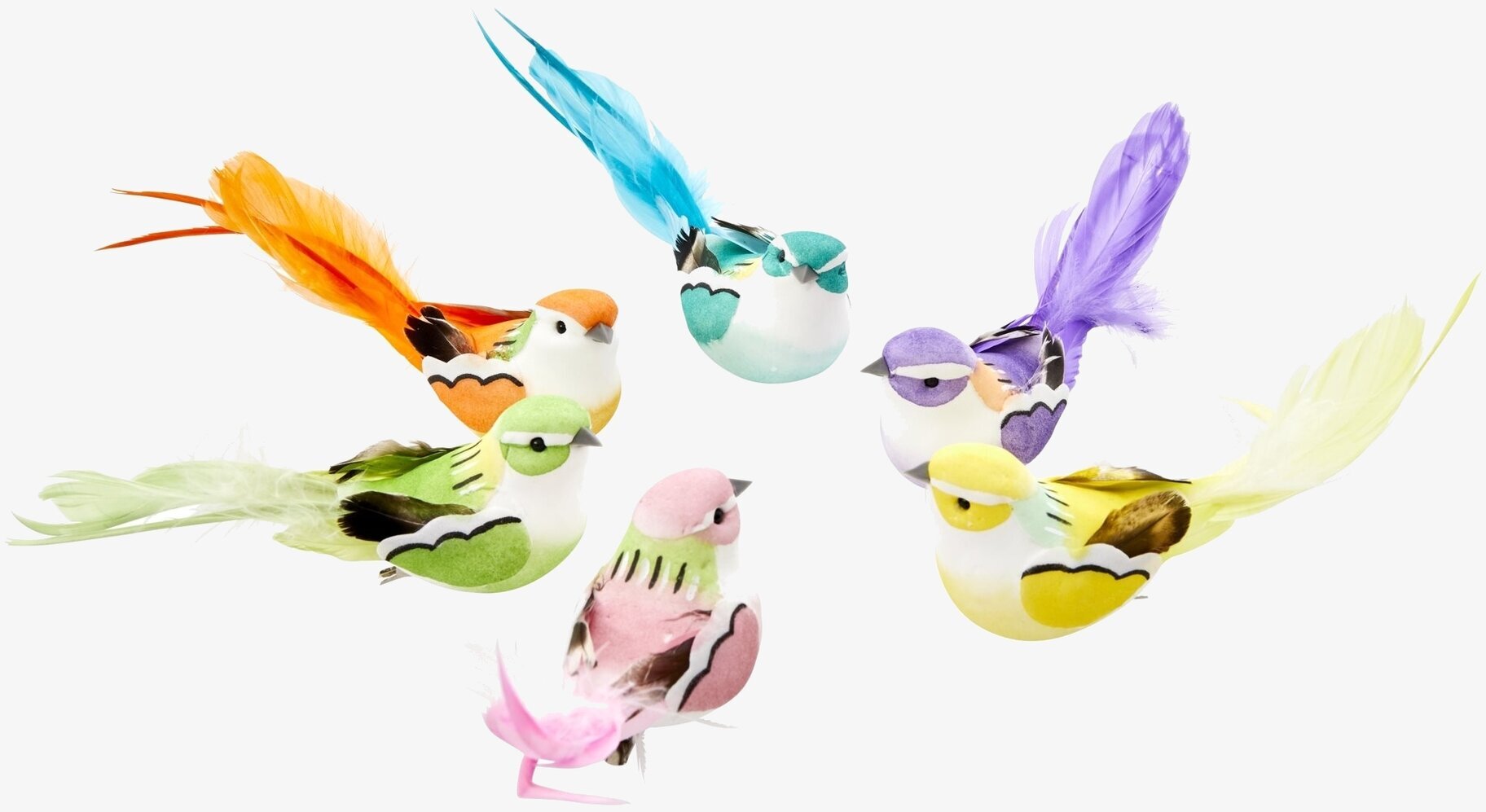 Foto av dekorativa fåglar med unika färgkombinationer