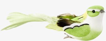 Bild av färgstark och detaljerad dekorationsfågel