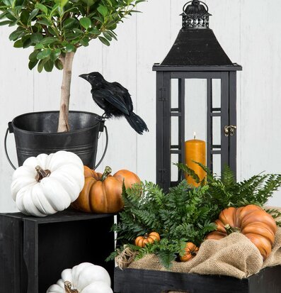 Bild av höstdekoration med pumpor och grönska