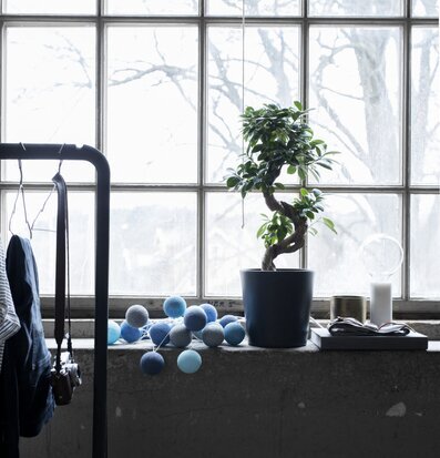 Bild av harmonisk interiör med ljusslinga och växt