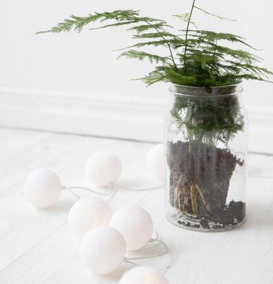 Bild av harmonisk inredning med ljusslinga och växt