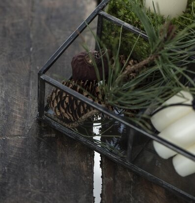 Bild av elegant glasbox med naturliga dekorationer