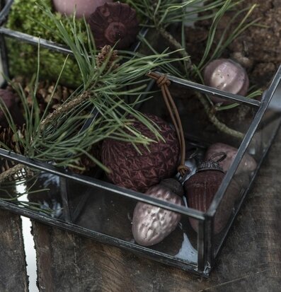 Bild av dekorativ glasbox med naturnära dekorationer