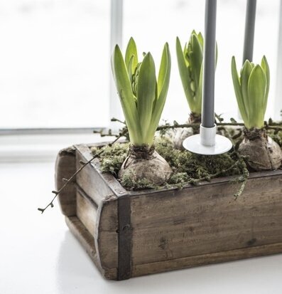 Foto av fönsterbräda med trälåda och hyacintlökar