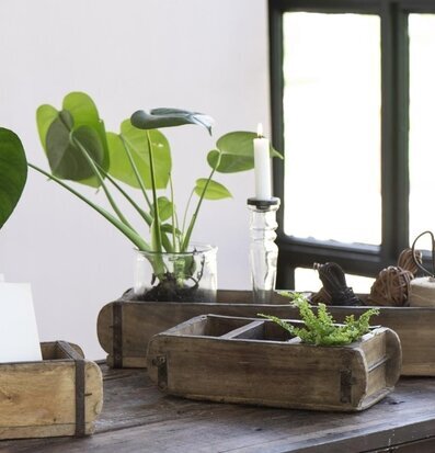 Bild av rustik inredning med trädetaljer och växter