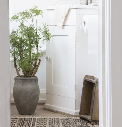 Bild av stilfull inredning med naturliga element