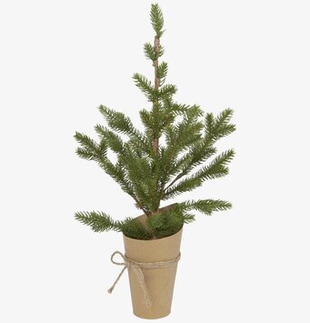 Bild av litet granträd i papperskruka med jutesnöre