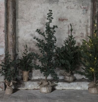 Foto av konstgjorda granar mot industriell betongvägg