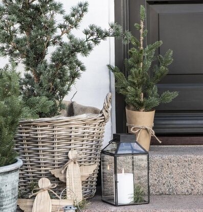 Bild av harmonisk entré med natur och dekorationer