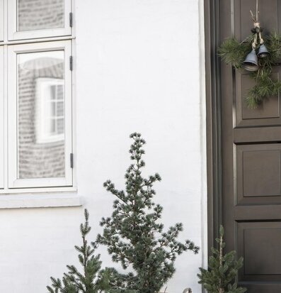 Bild av en välkomnande entré med växter och lyktor