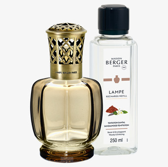 Bild av stilfull lampa och doftolja i elegant design