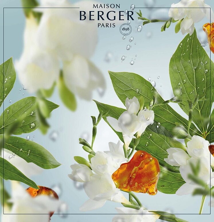 Summer Rain - Maison Berger Paris, blommor och gröna blad
