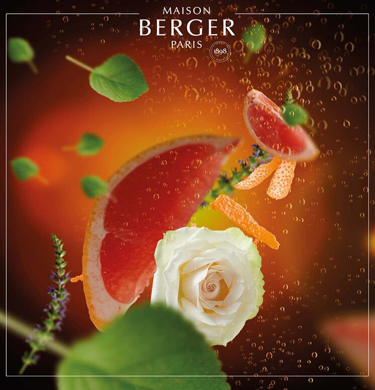 Exquisite Sparkle - Maison Berger Paris med ros och grapefrukt